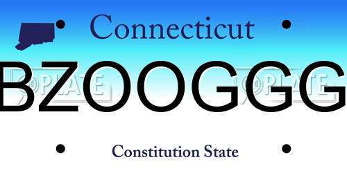 BZOOGGG Connecticut License Plate