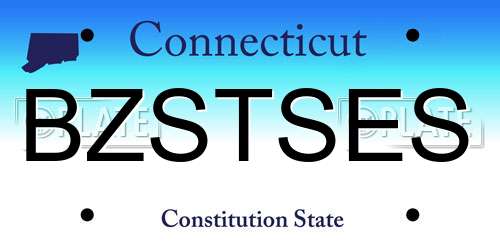 BZSTSES Connecticut License Plate