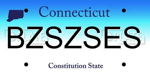BZSZSES Connecticut License Plate