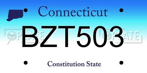 BZT503 Connecticut License Plate