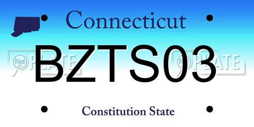 BZTS03 Connecticut License Plate