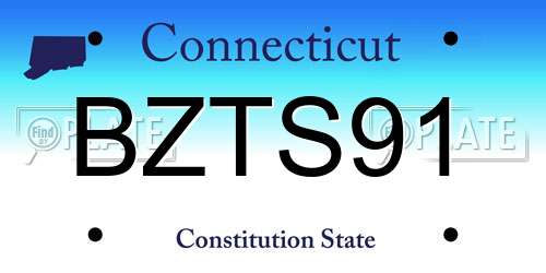 BZTS91 Connecticut License Plate