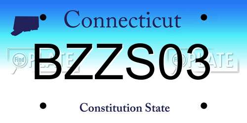 BZZS03 Connecticut License Plate