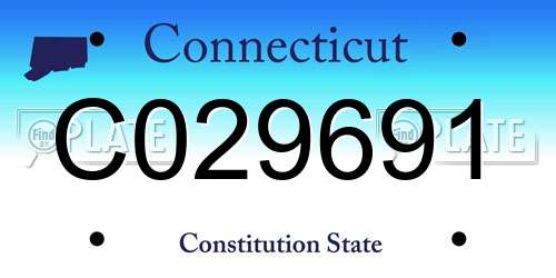 C029691 Connecticut License Plate