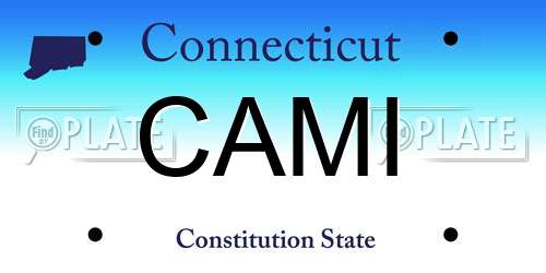 CAMI Connecticut License Plate