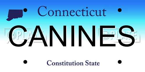 CANINES Connecticut License Plate