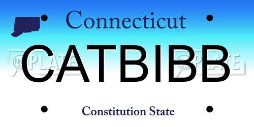 CATBIBB Connecticut License Plate