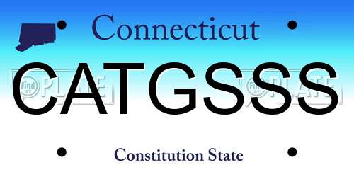 CATGSSS Connecticut License Plate