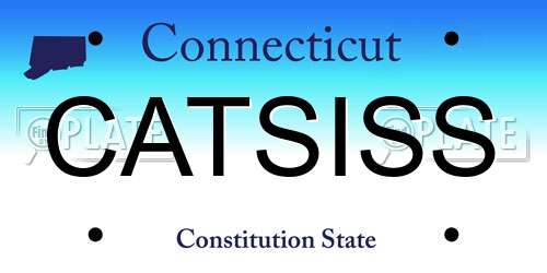 CATSISS Connecticut License Plate