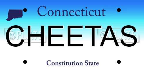 CHEETAS Connecticut License Plate