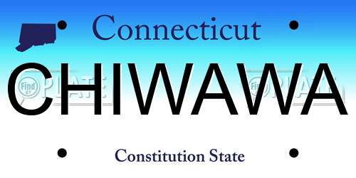 CHIWAWA Connecticut License Plate