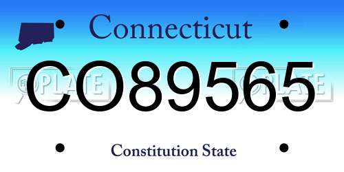 CO89565 Connecticut License Plate