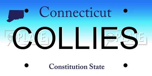COLLIES Connecticut License Plate