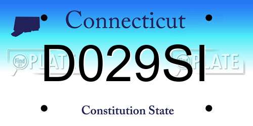 D029SI Connecticut License Plate
