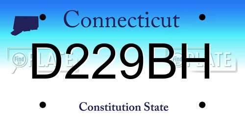 D229BH Connecticut License Plate