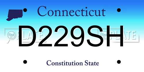 D229SH Connecticut License Plate