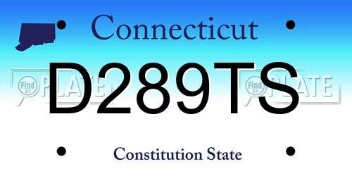 D289TS Connecticut License Plate