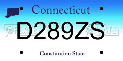 D289ZS Connecticut License Plate