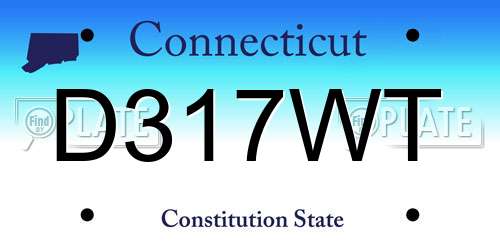 D317WT Connecticut License Plate