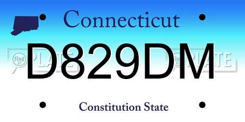 D829DM Connecticut License Plate