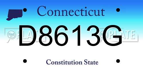 D8613G Connecticut License Plate