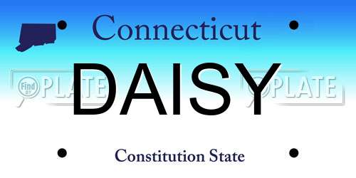 DAISY Connecticut License Plate