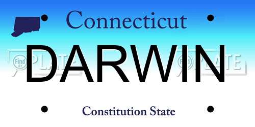DARWIN Connecticut License Plate