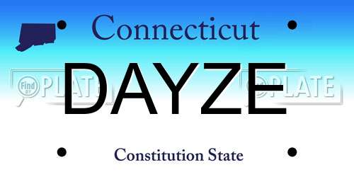 DAYZE Connecticut License Plate