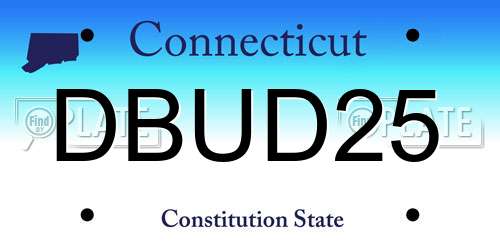 DBUD25 Connecticut License Plate