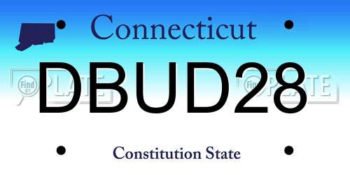 DBUD28 Connecticut License Plate
