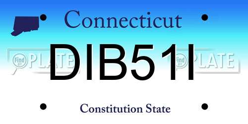 DIB51I Connecticut License Plate