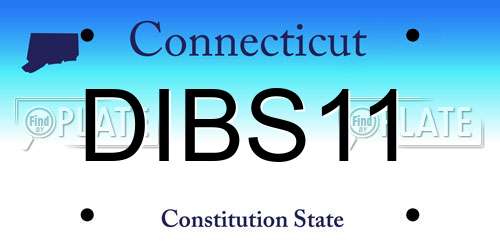 DIBS11 Connecticut License Plate