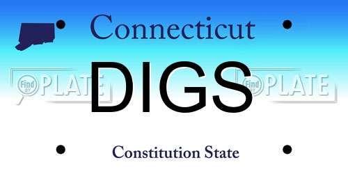 DIGS Connecticut License Plate