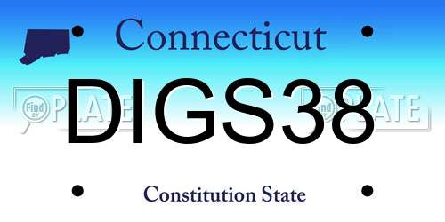 DIGS38 Connecticut License Plate