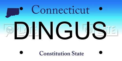 DINGUS Connecticut License Plate
