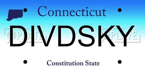 DIVDSKY Connecticut License Plate
