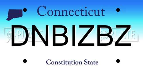 DNBIZBZ Connecticut License Plate