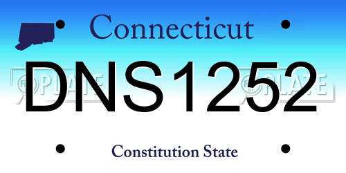 DNS1252 Connecticut License Plate