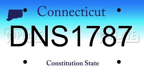 DNS1787 Connecticut License Plate