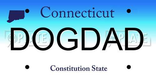 DOGDAD Connecticut License Plate