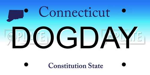 DOGDAY Connecticut License Plate