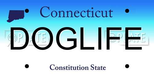 DOGLIFE Connecticut License Plate