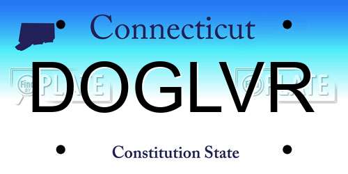 DOGLVR Connecticut License Plate