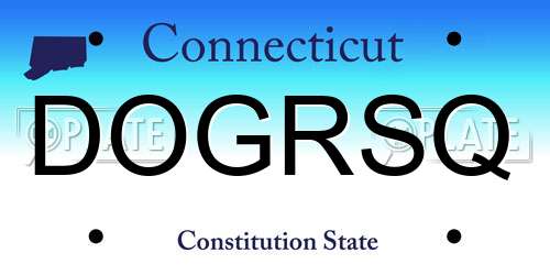 DOGRSQ Connecticut License Plate