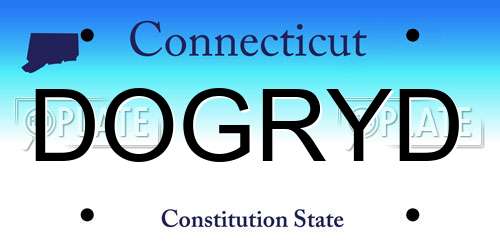 DOGRYD Connecticut License Plate