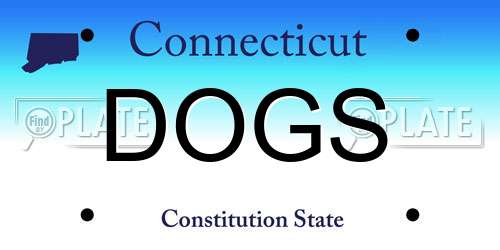 DOGS Connecticut License Plate
