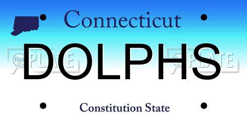 DOLPHS Connecticut License Plate
