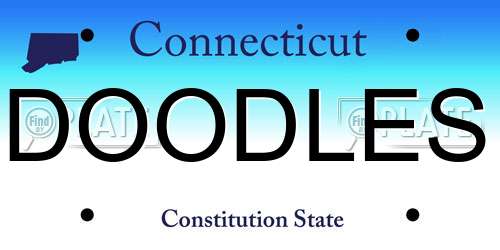 DOODLES Connecticut License Plate