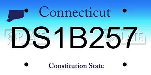 DS1B257 Connecticut License Plate