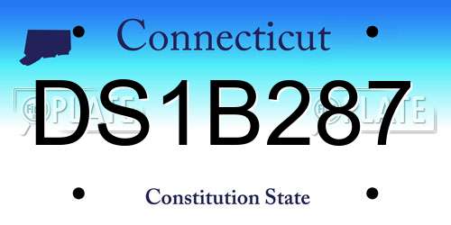 DS1B287 Connecticut License Plate